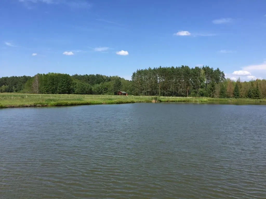 Łowisko 1